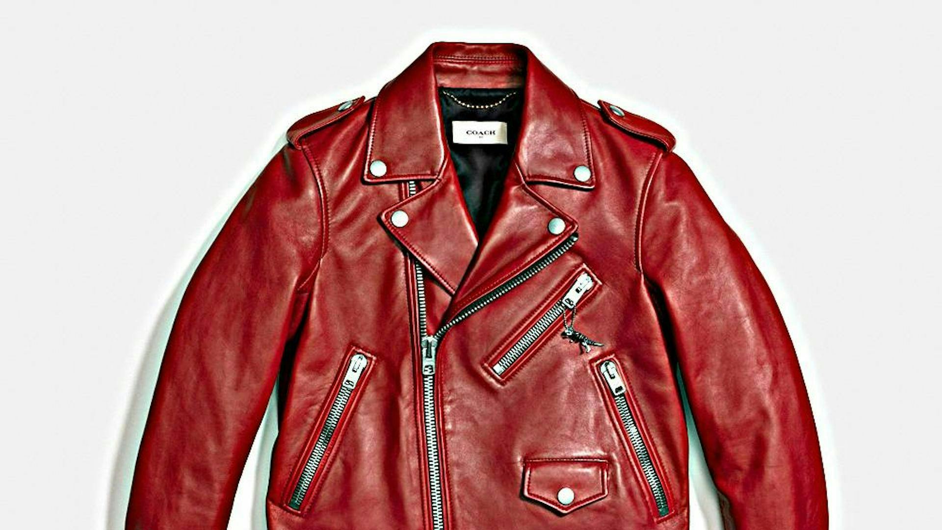 jacket clothing coat apparel leather jacket
