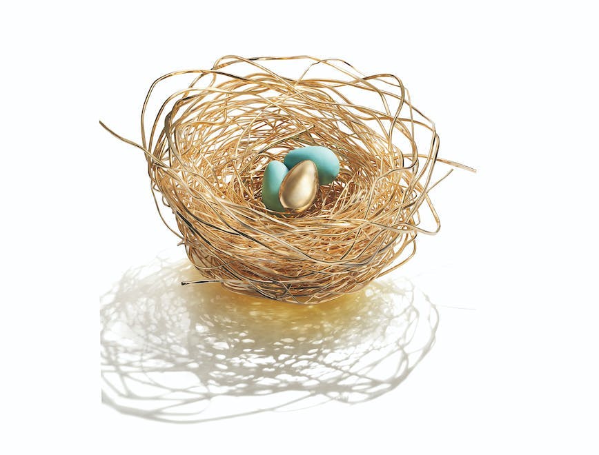 nest bird nest