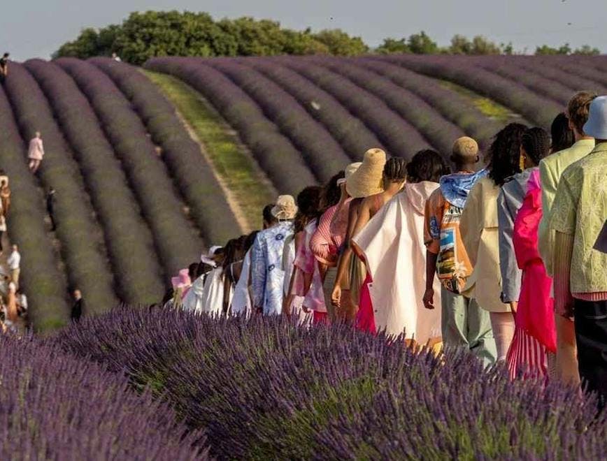 plant person human lavender outdoors field