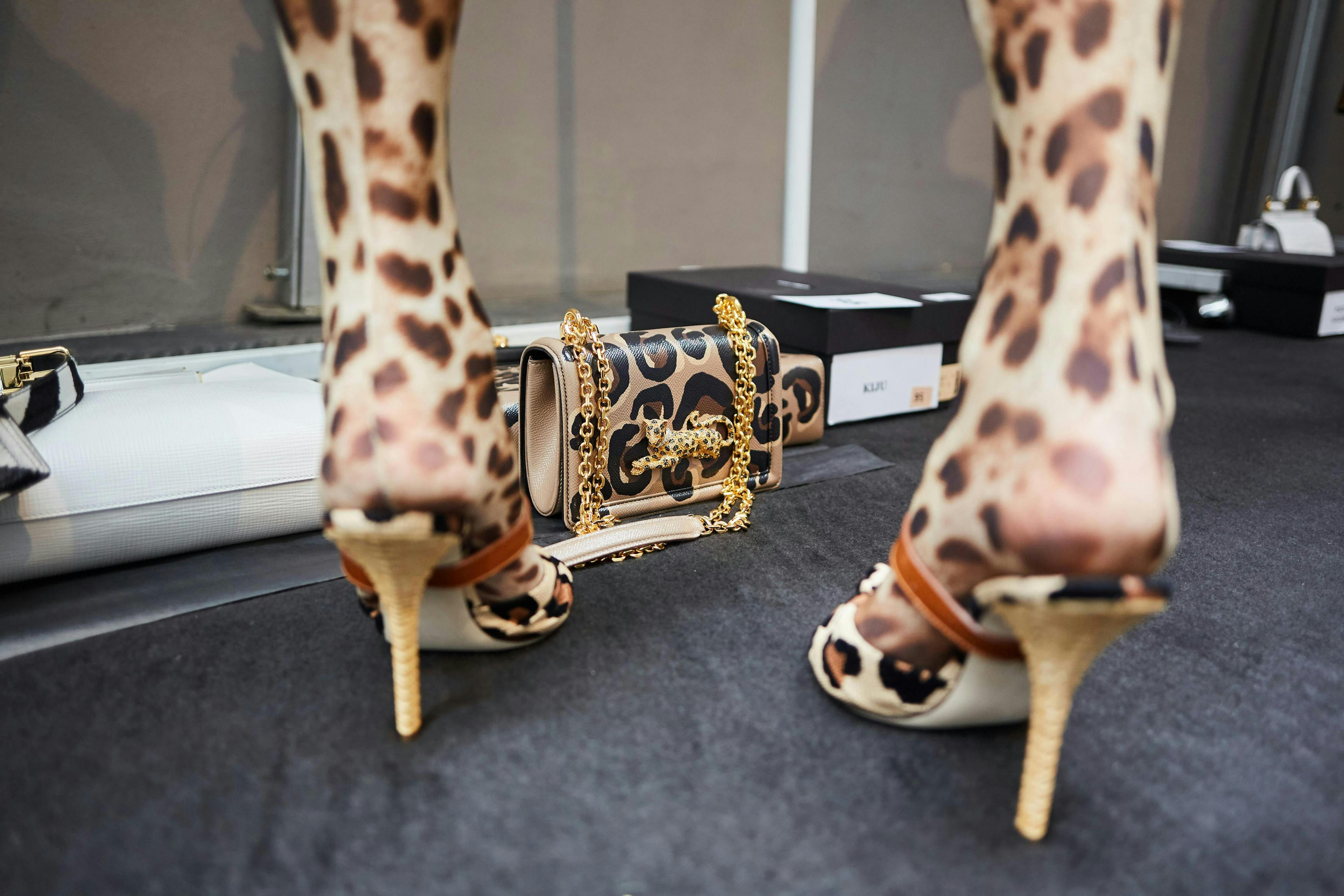 clothing apparel footwear shoe giraffe animal mammal wildlife high heel