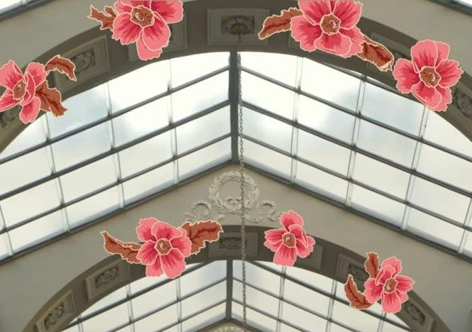 architecture building window skylight plant flower blossom petal